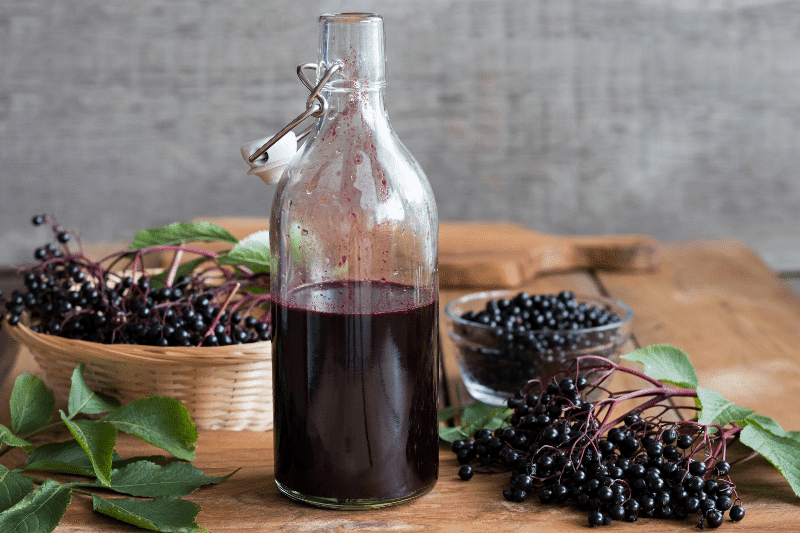 Elderberry syrup for flu symptoms