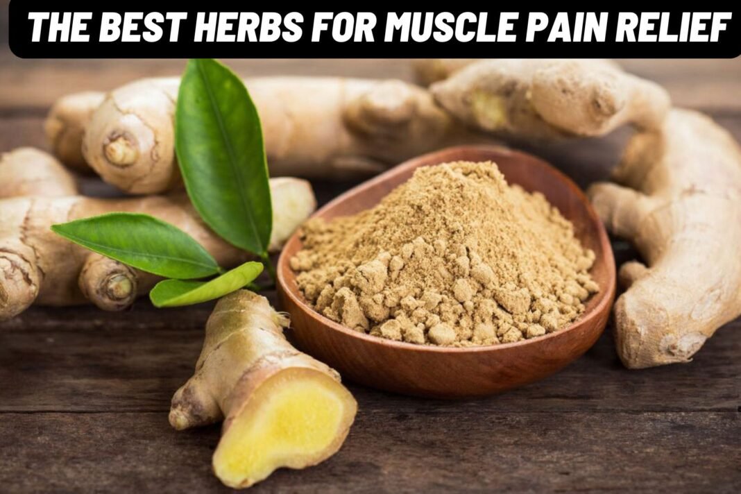 The Best Herbs for Muscle Pain Relief