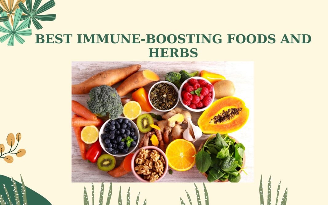 Best Immune-Boosting Foods and Herbs
