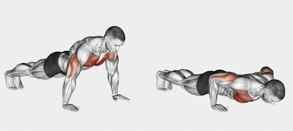 Push up exercise