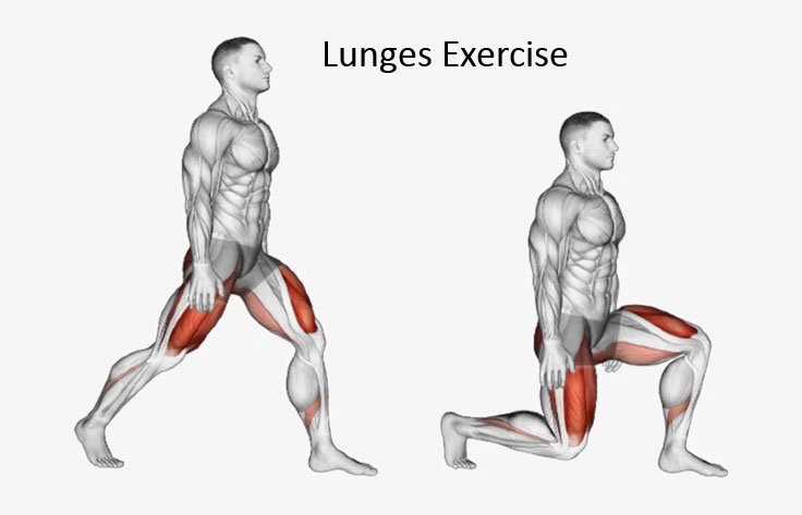 The Ultimate Guide to Lunges Exercise
