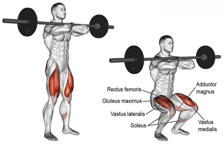 squats exercise